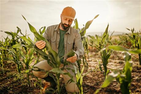 farmer