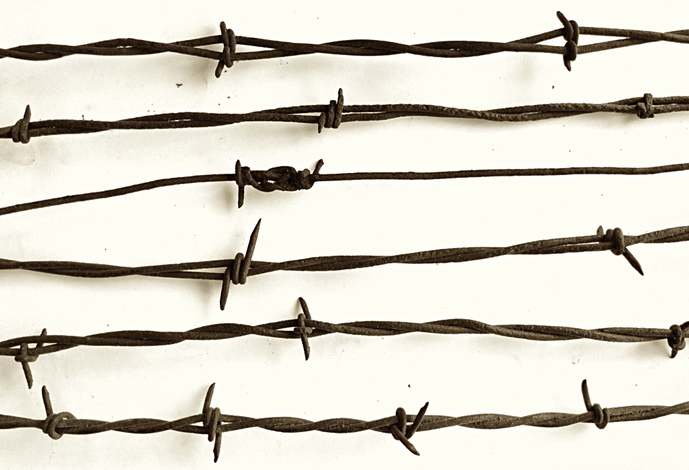 News_Barbed Wire a Twisted Tale