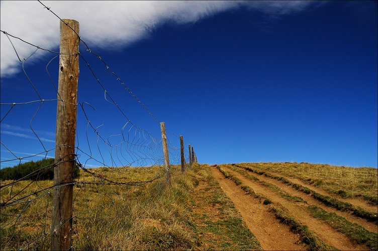 News_Mending Fences