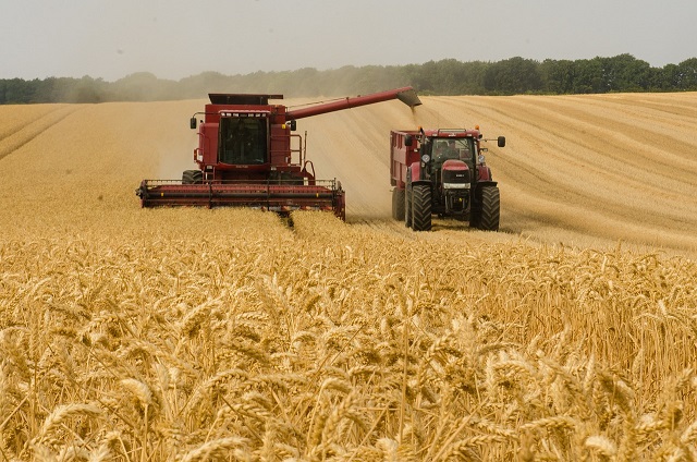 Tractor TLC