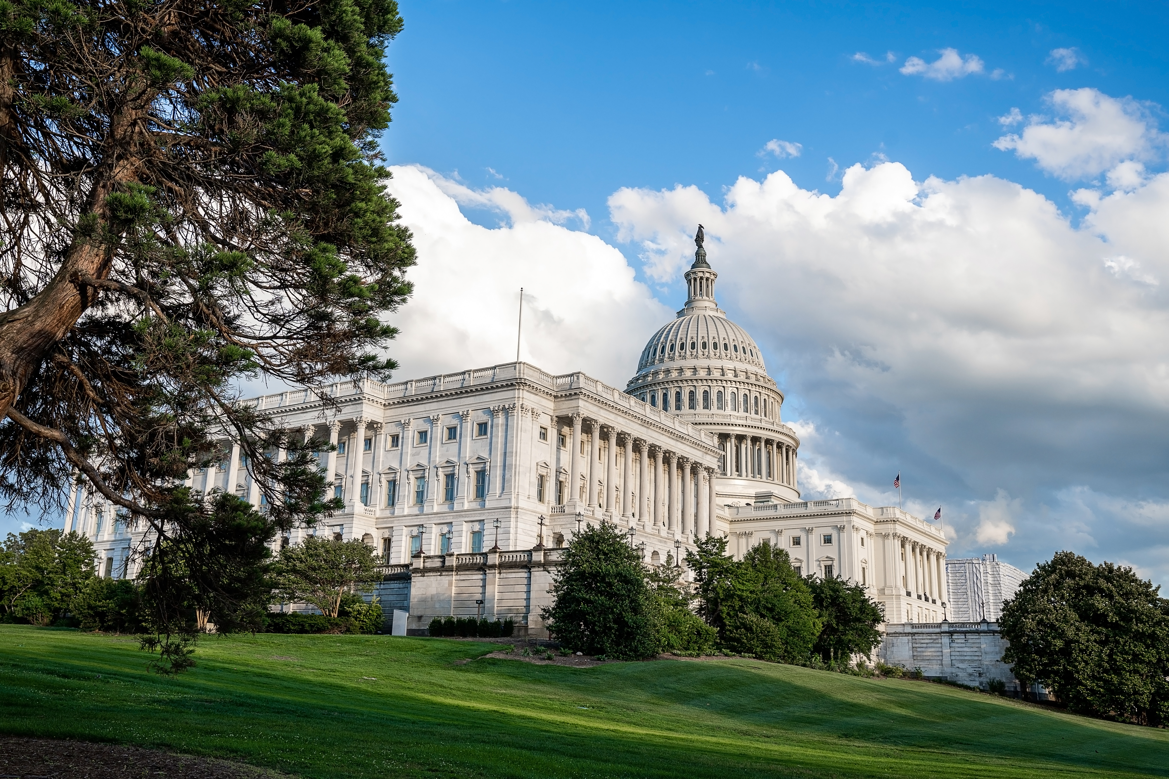 United States Capitol In Washington DC