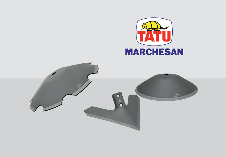 250x360_2025_CAE_Specials_Web_150_8_Tatu