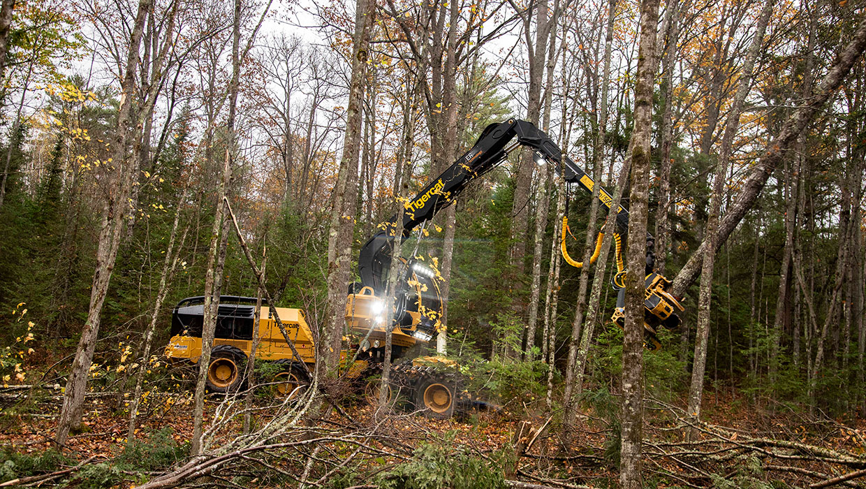 Tigercat Wheeled Harvester