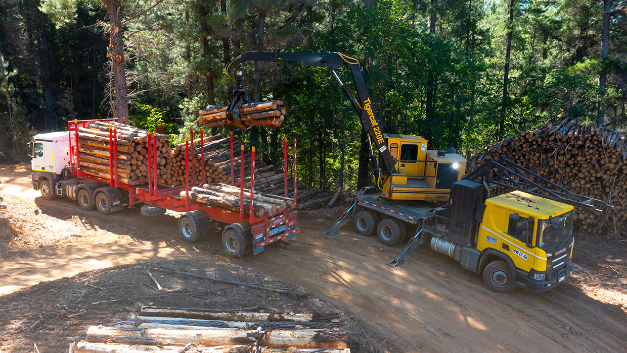 Tigercat Loader