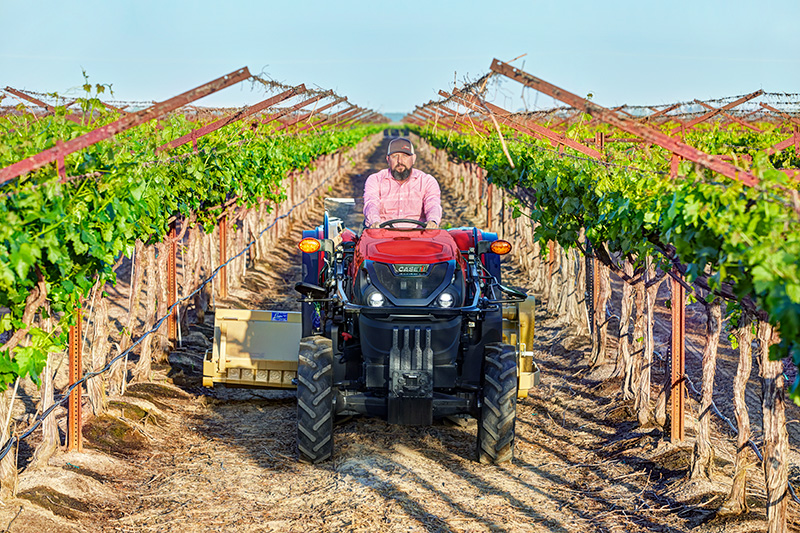 Farmall and mower in vineyard