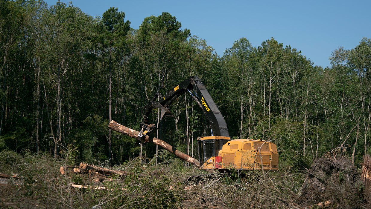 Tigercat Shovel Logger