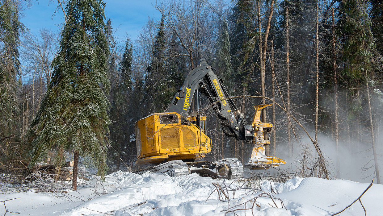 Tigercat Feller Buncher